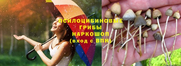 скорость Нефтегорск