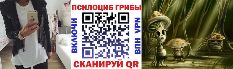 Галлюциногенные грибы Psilocybine cubensis  хочу наркоту  shop клад  Орехово-Зуево  omg ТОР 