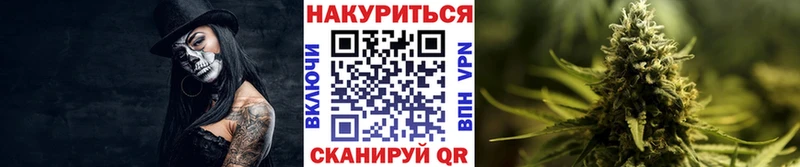 как найти   Орехово-Зуево  Канабис OG Kush 